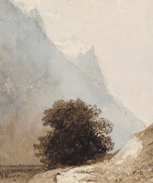 Leafy Bush in a mountainous Landscape